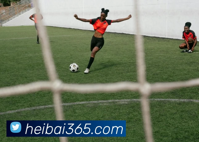 黑白体育直播官网平台生态图